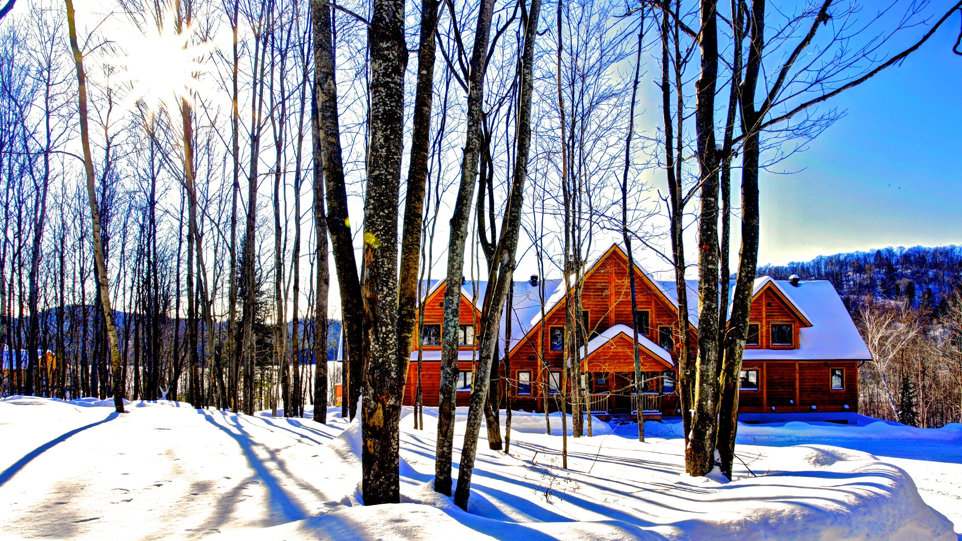 Timber Block Labrador Winter